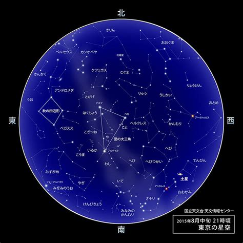 8月10號是什麼星座|8月10日生日書（獅子座）